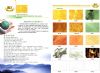 公司简介、产品展示