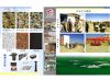 产品展示、企业文化建设