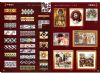 C系列、D系列