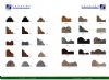 石线条系列