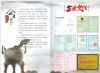 公司简介