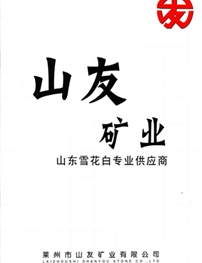 莱州市山友矿业有限公司