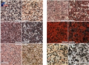 granite