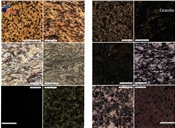 granite