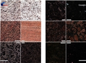granite
