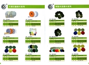 大理石翻新片系列、树脂水泥磨片系列