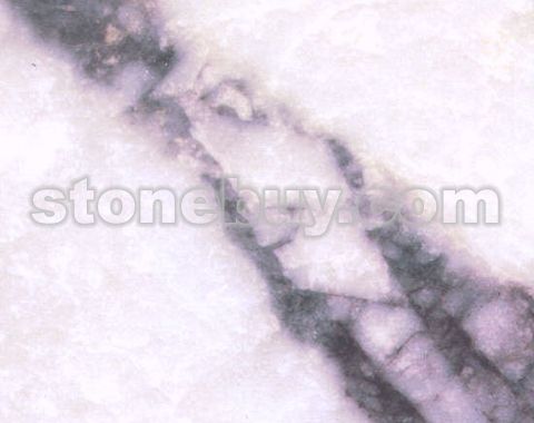 紫丁香 African Lilac