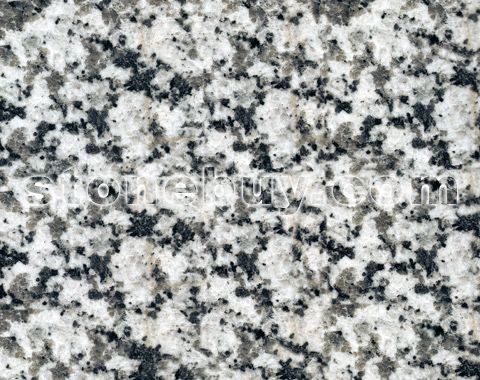 , G4440, Balan Flower