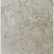 金钱花, M4508, Jinqian Flower