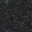 万年青（中花）, G1360, Evergreen