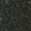 万年青（中花）, G1360, Evergreen