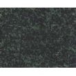 万年青（中花）, G1360, Evergreen
