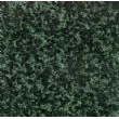 万年青（小花）, G1360, Evergreen