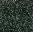 万年青（小花）, G1360, Evergreen