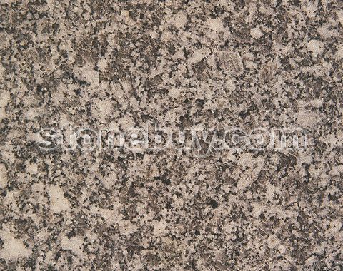 ҽڰ׻, G4397, Taojiang Black - Whitc Blossom