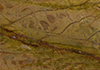 Ʊʯ