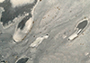 ʻ