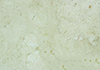 ʩ