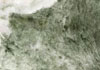 Ų