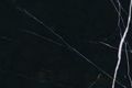 Nero Marquina