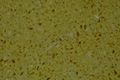 Golden Beige