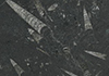 ڻʯ