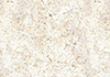 ŷްɰ