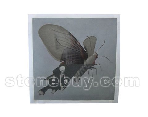 Ӱ NO:DY20938