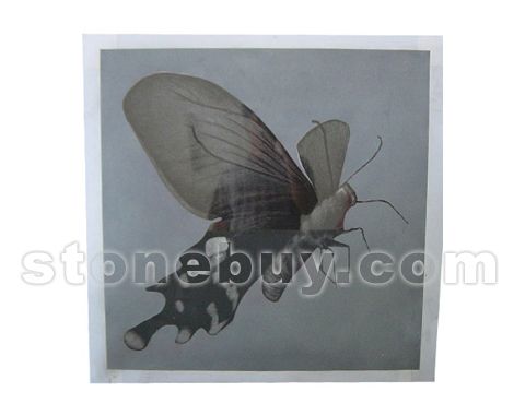 Ӱ NO:DY20355