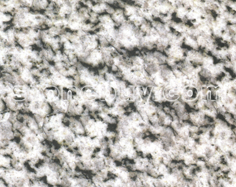 , Egypt White