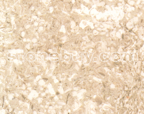 ɭ׻, Asenka Beige