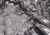 λ