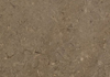˹
