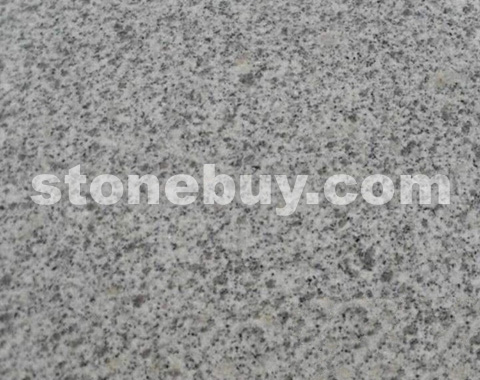 G303