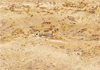 ½ʯ