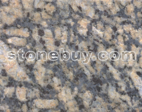 , Olympic Blue