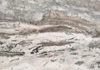 λ