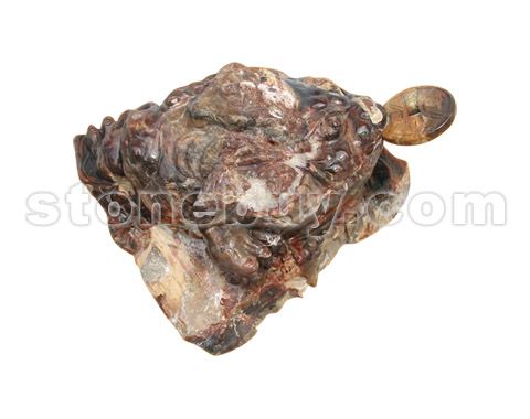  NO:DG22939
