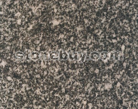 ֥, Barre Grey