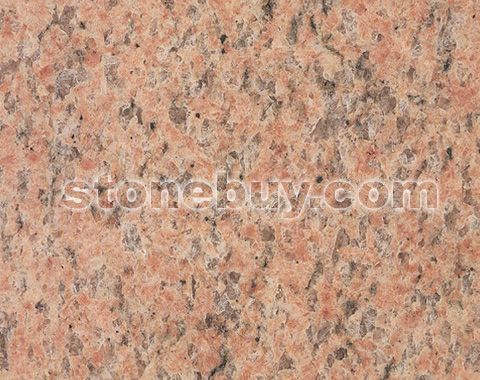 ɳʿ, Salisbury Pink