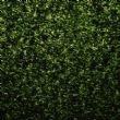 米易绿, G5157-B, Miyi Green