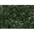 米易绿, G5157-B, Miyi Green