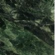 大花绿, M7101, Taiwan Garish Green
