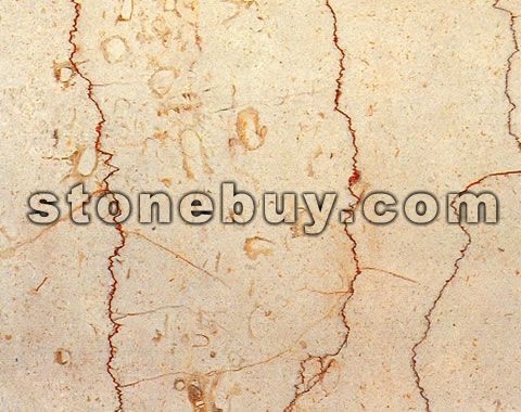 ׻(), Shell Beige