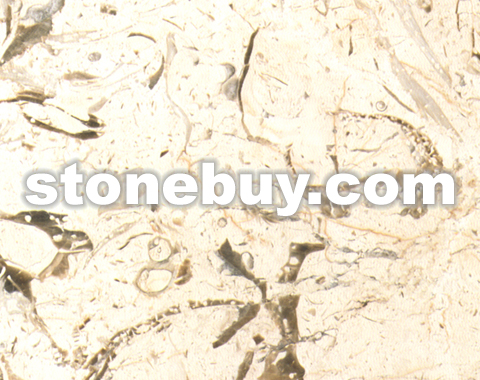 ׻, Phoenix Beige