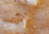 ۺ칫