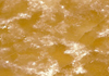 ҽ