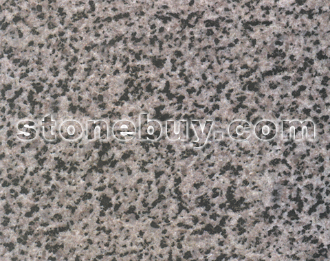 , Black Grain
