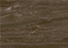 ˵
