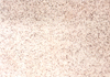 ڻ